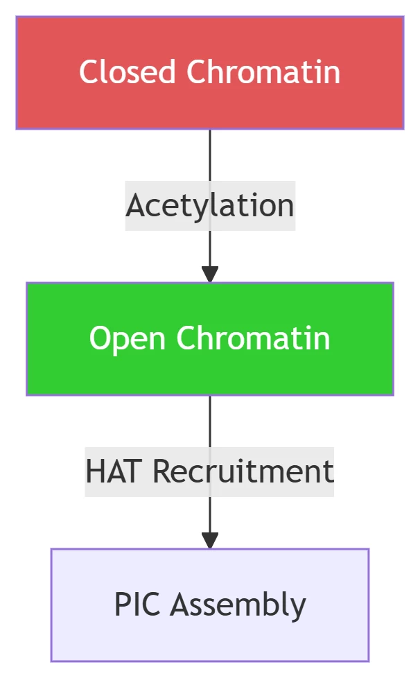 rna transcription