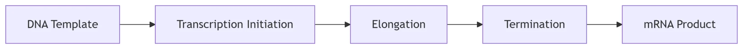 rna transcription