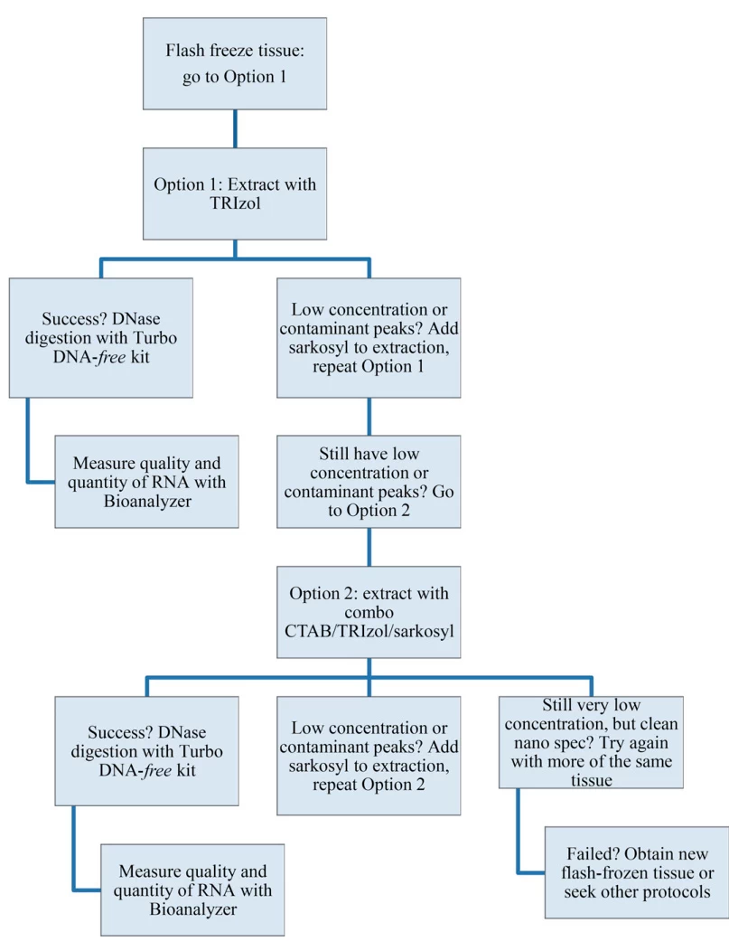 Sample-Specific Optimization Strategies